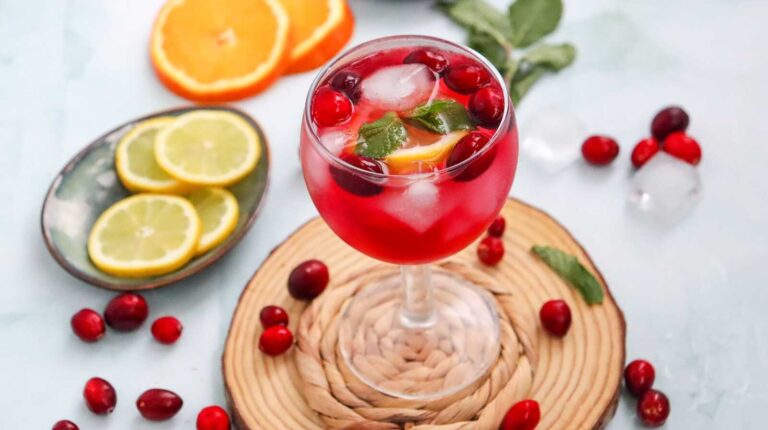 Cranberry spritzer mocktail with fresh cranberries, citrus slices, mint, and ice in a stem glass.